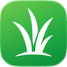 Grass X logo